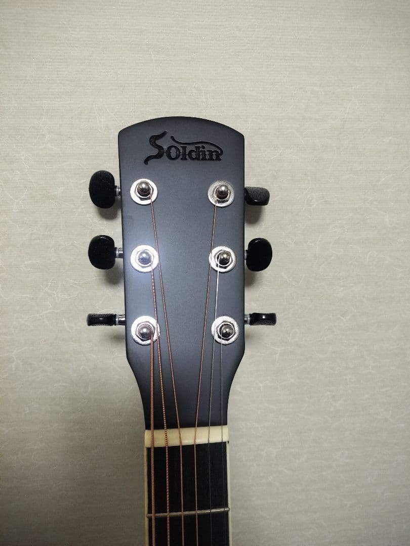 島村楽器 アコースティックギター 初心者向け Soldin SFG-15