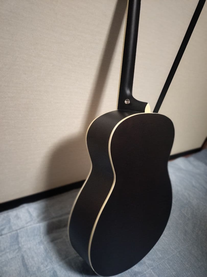 島村楽器 アコースティックギター 初心者向け Soldin SFG-15