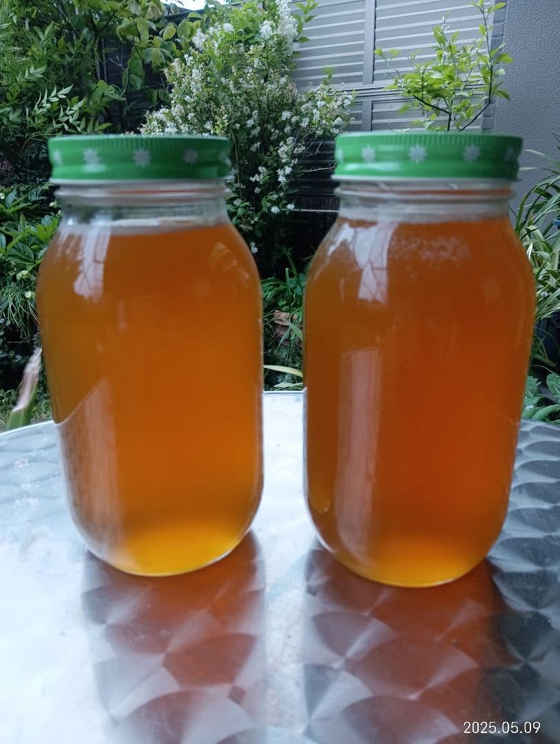 国産天然はちみつ　ニホンミツバチの百花蜜　1150グラム 2本