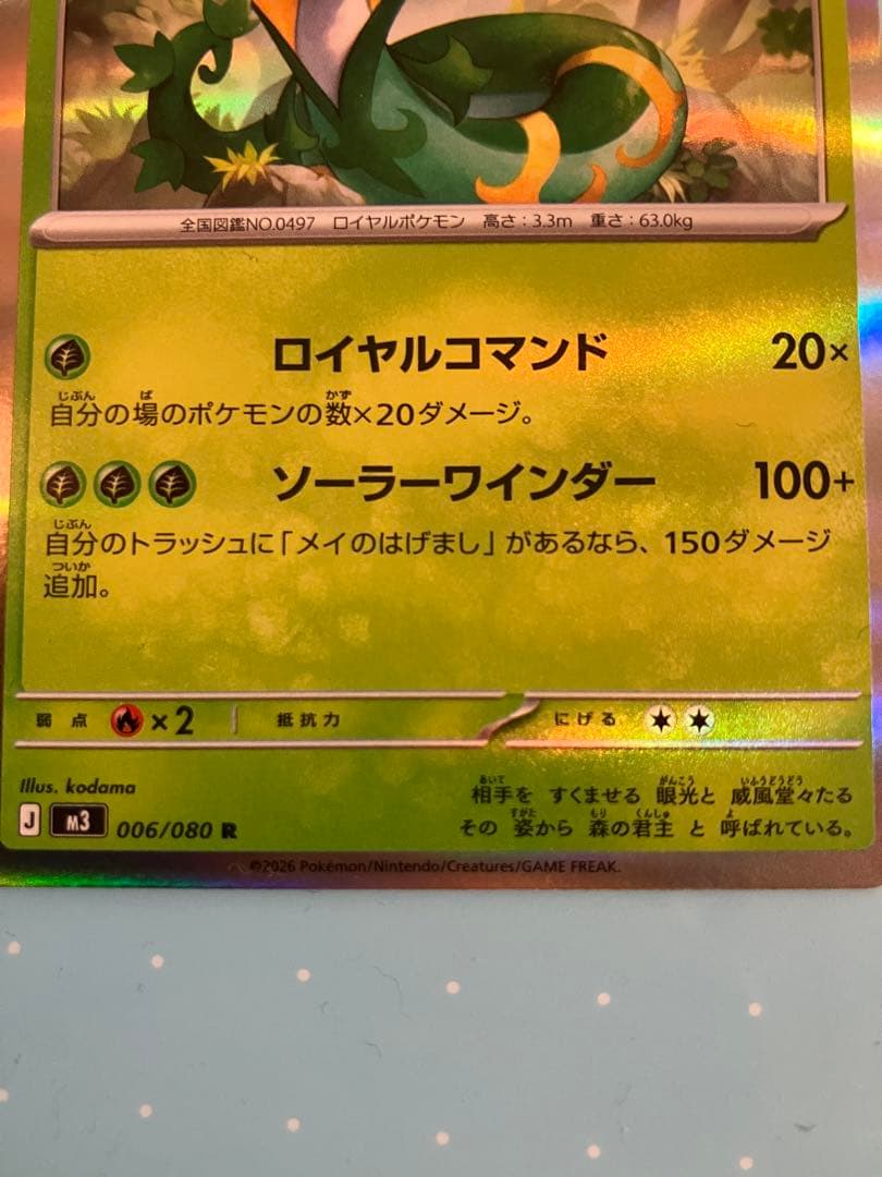 メイのはげまし【SAR】+α