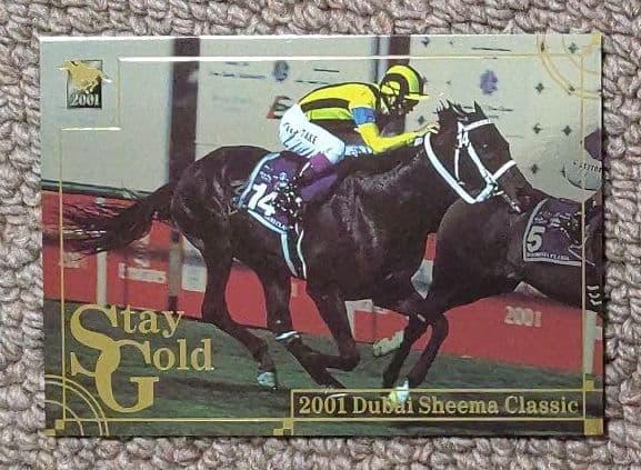 サラブレッドカード  ステイゴールド(2001ドバイシーマクラシック)※非売品