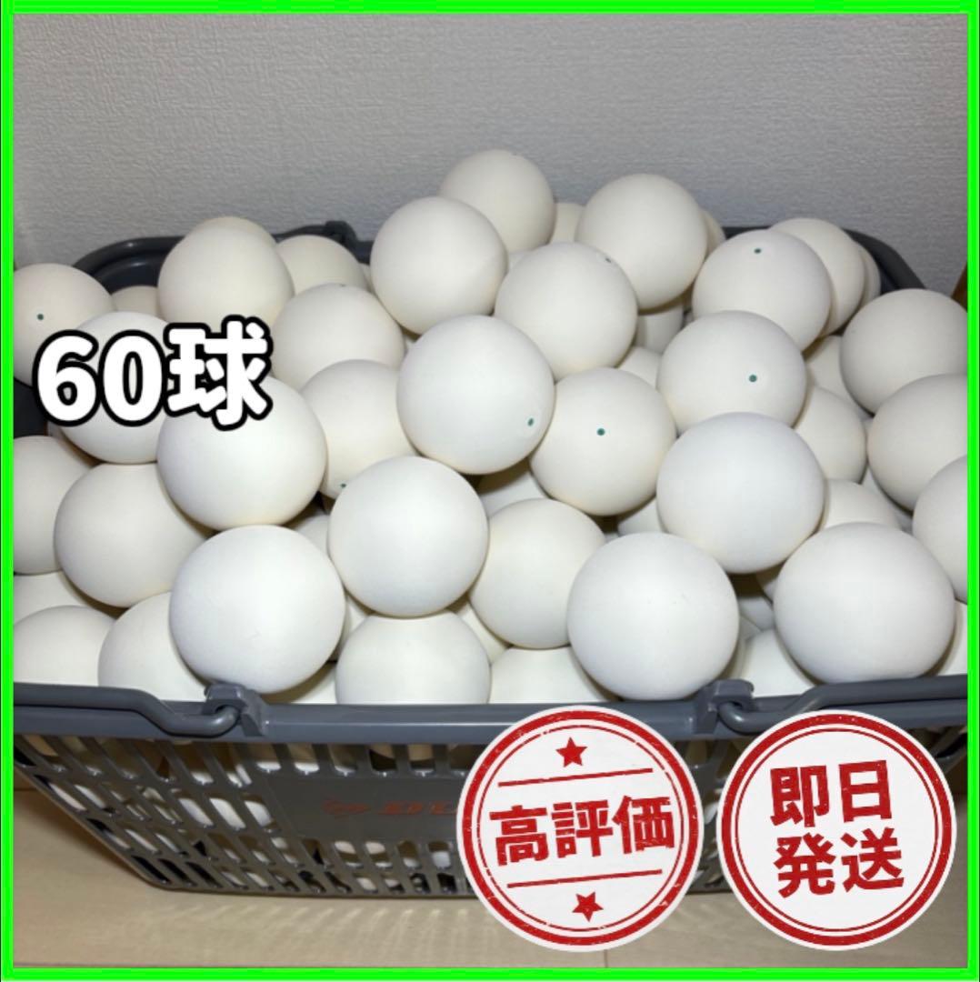 【早い者勝ち】ソフトテニス ボール 5ダース 60球 新品 カゴ付き