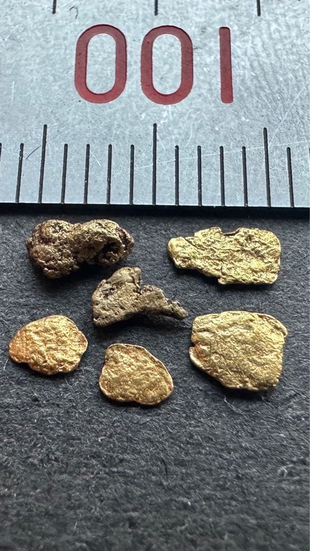 自然採取 金粒（粒状・不定形）観賞・資料用