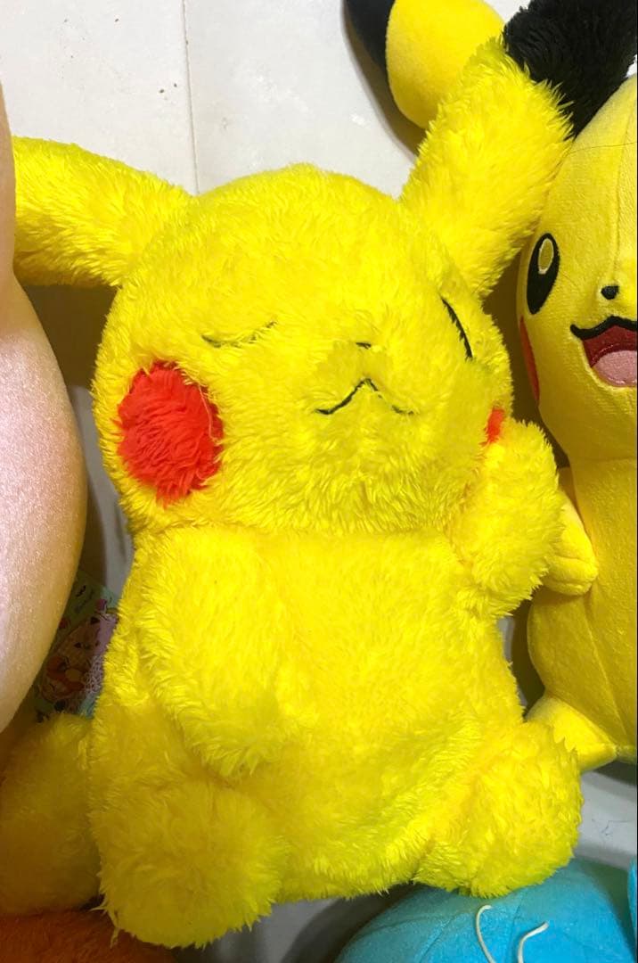 ポケモンBIGぬいぐるみ14点セット　　紙タグ付き