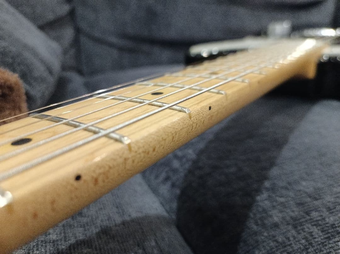 Bacchus TACTICS PLD テレキャスタータイプ　エレキギター美品