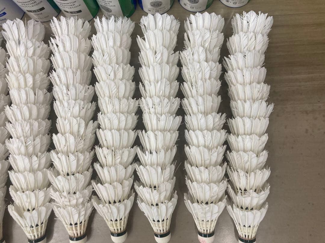 ニューオフィシャルなど　セミシャトル　120個