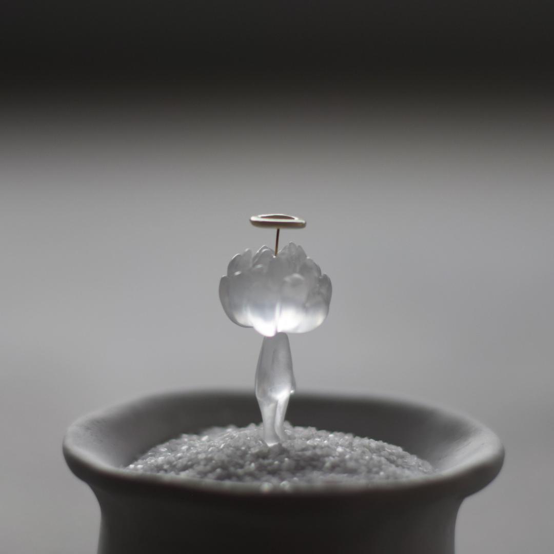 echidna サキュ天使（baby) standing サボ天使 陣内啓治