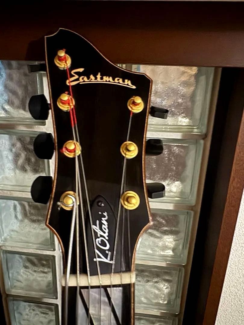 Eastman T-145SM 17st 7弦フルアコ スペシャルオーダー