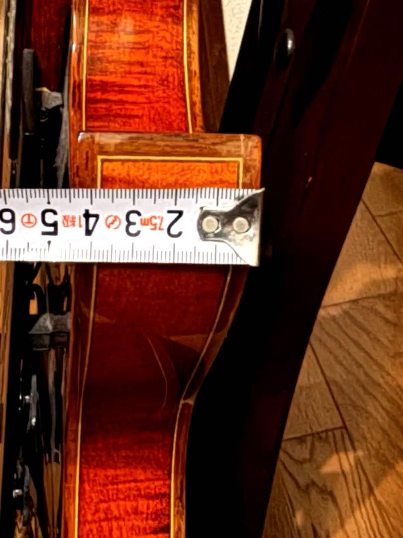 Eastman T-145SM 17st 7弦フルアコ スペシャルオーダー