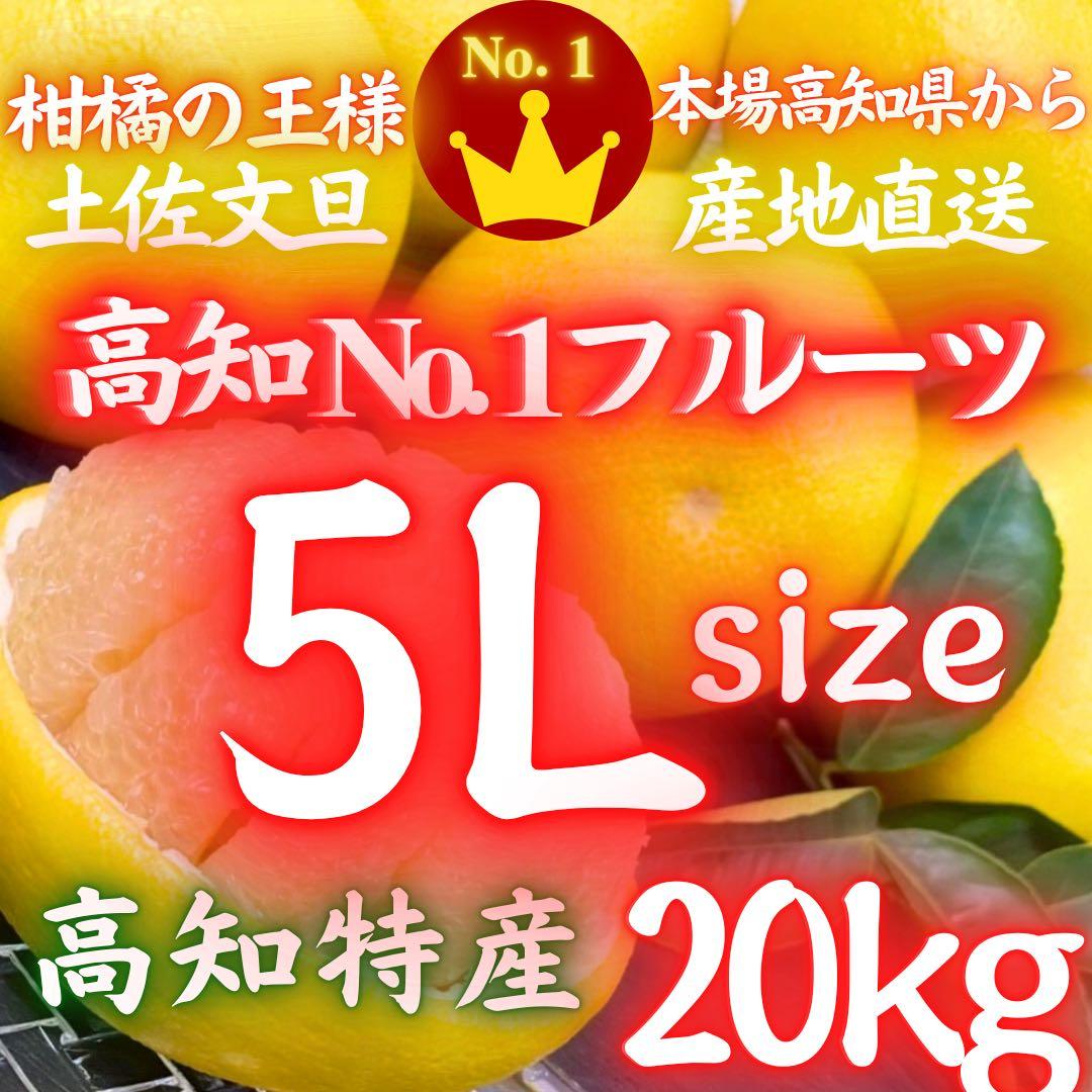 ⑬特大サイズ 高知特産 露地栽培 土佐文旦 文旦 約20kg 5L 特大