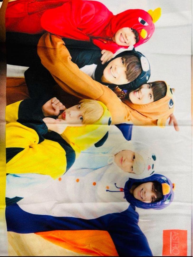 ASTROティッシュカバー　ASTRO枕カバー