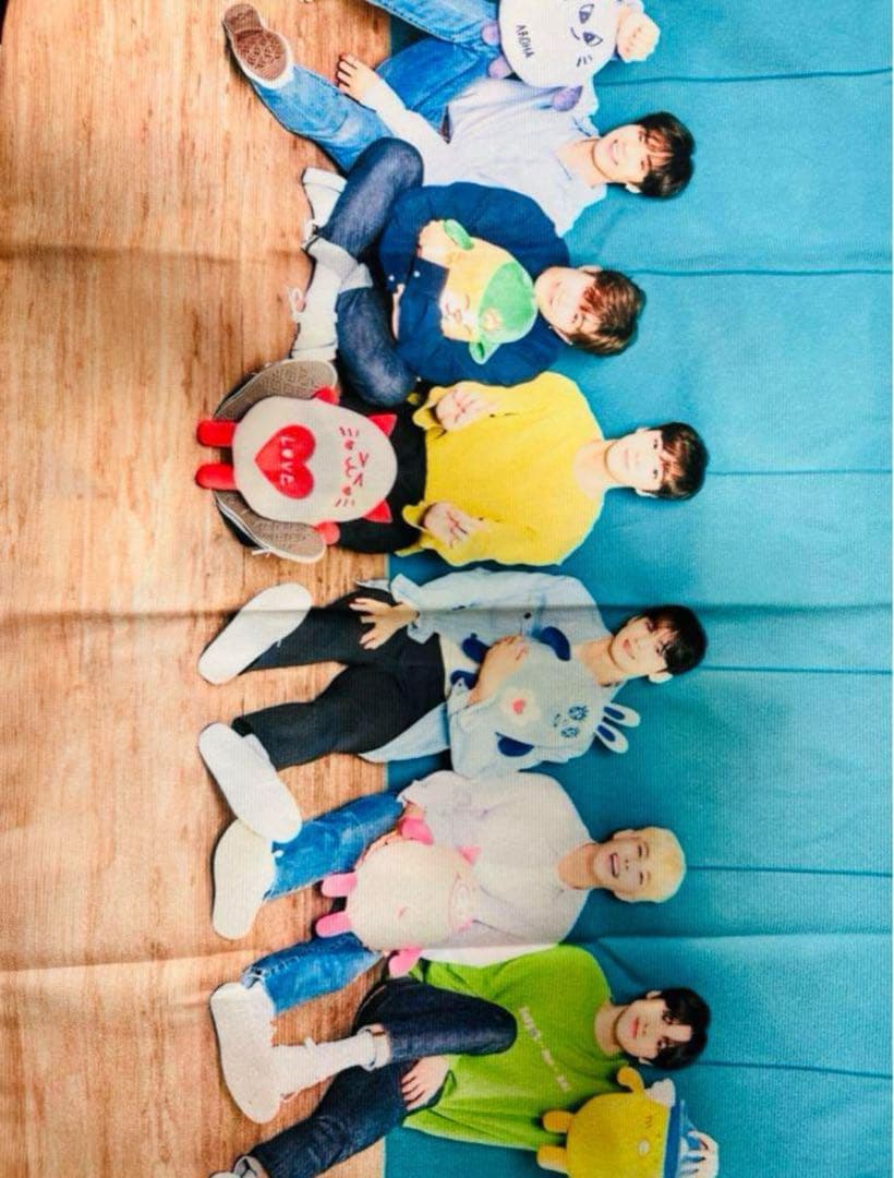 ASTROティッシュカバー　ASTRO枕カバー