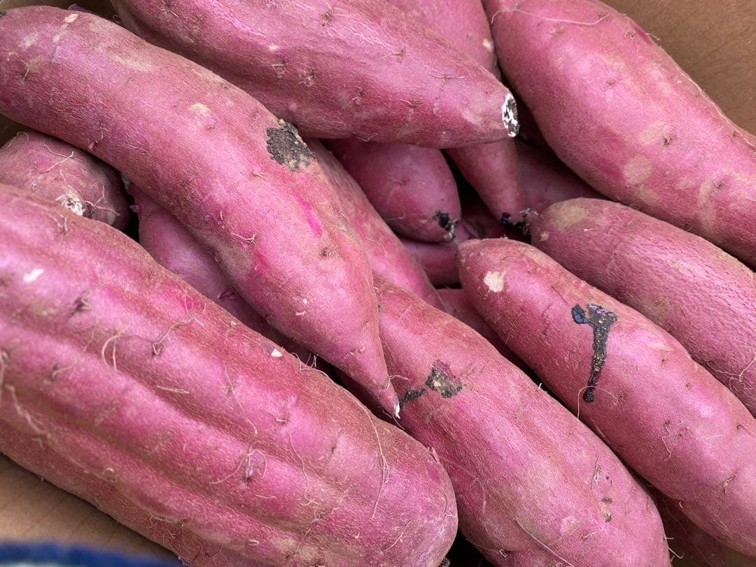 茨城県産紅はるかM20キロ kana☆品