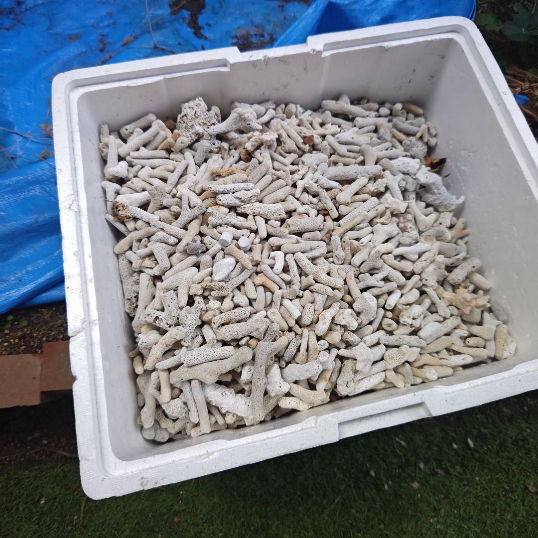 珊瑚です。 20キロ以上くらいはあると思います。 濾過層などにどうでしょうか？