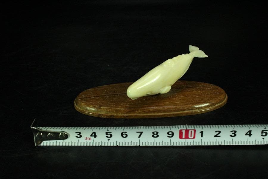 抹香鯨 歯 細密 彫刻 鯨 置物 根付 台付(K-A995)