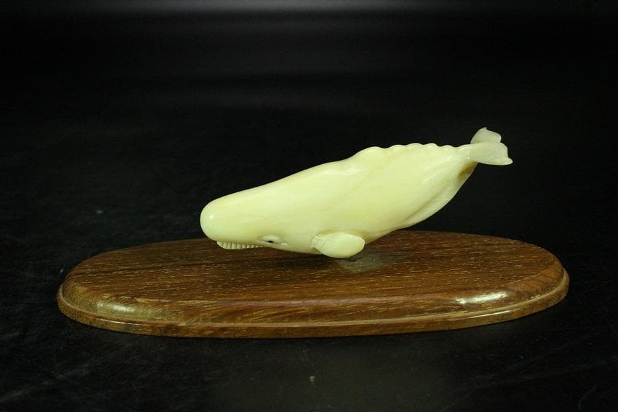 抹香鯨 歯 細密 彫刻 鯨 置物 根付 台付(K-A995)