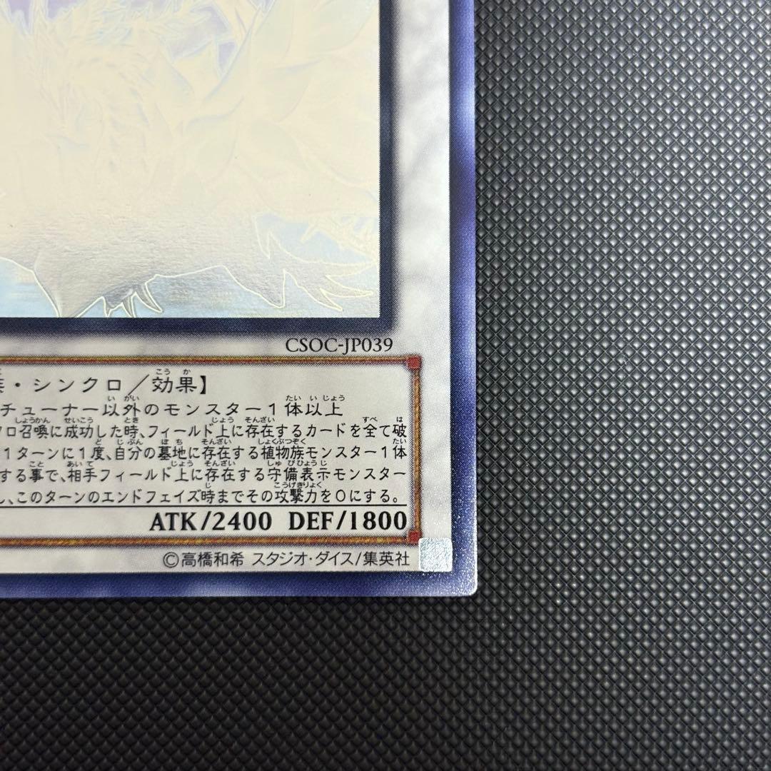 遊戯王 ブラックローズドラゴン ホロ ホログラフィックレア 五つ目