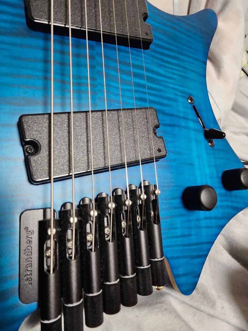 は*司様 strandberg Boden Standard 7 エレキギター