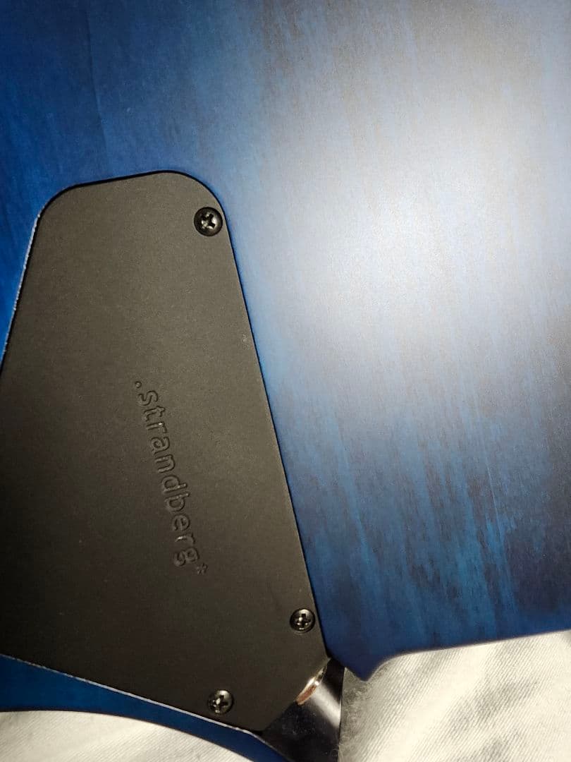 は*司様 strandberg Boden Standard 7 エレキギター