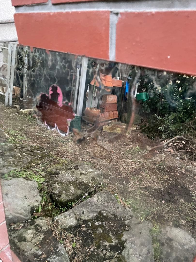 昭和レトロ　サクラタイヤ　大型ミラー