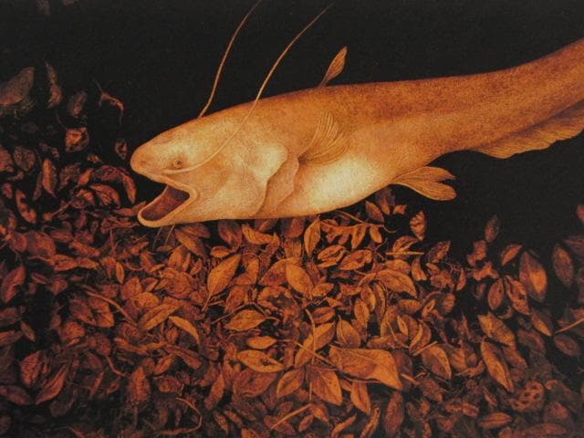 風分六抄、【月下】、希少な額装用画集画、新品高級額 額装付、状態良好