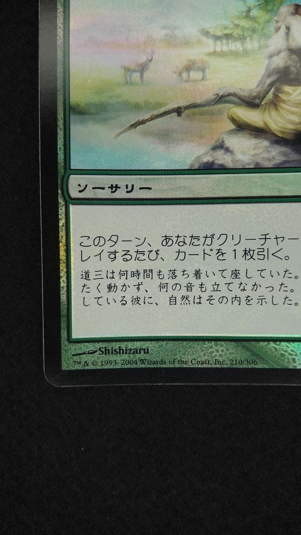 垣間見る自然　CHK　foil　日本語