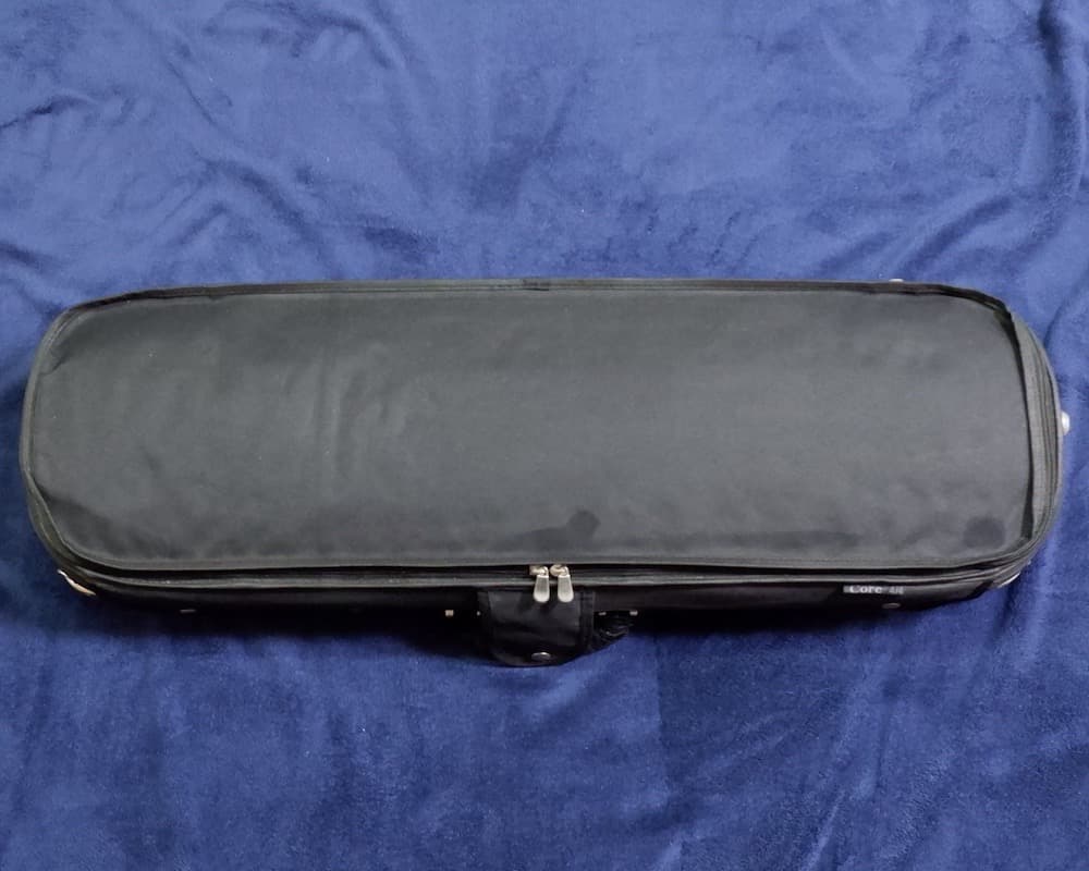 エレキバイオリン Jordan（ジョルダン）4弦　虎目　音出し確認済み