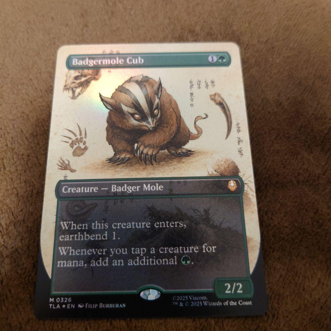 mtg アナグマモグラの仔　foil　拡張絵　英語版