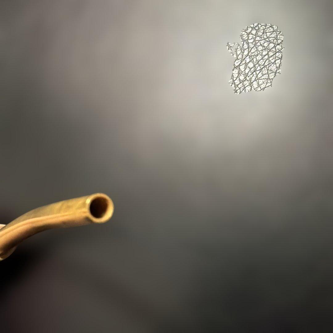 【金メッキ】イングリッシュホルン　アングレ　ボーカル　美品