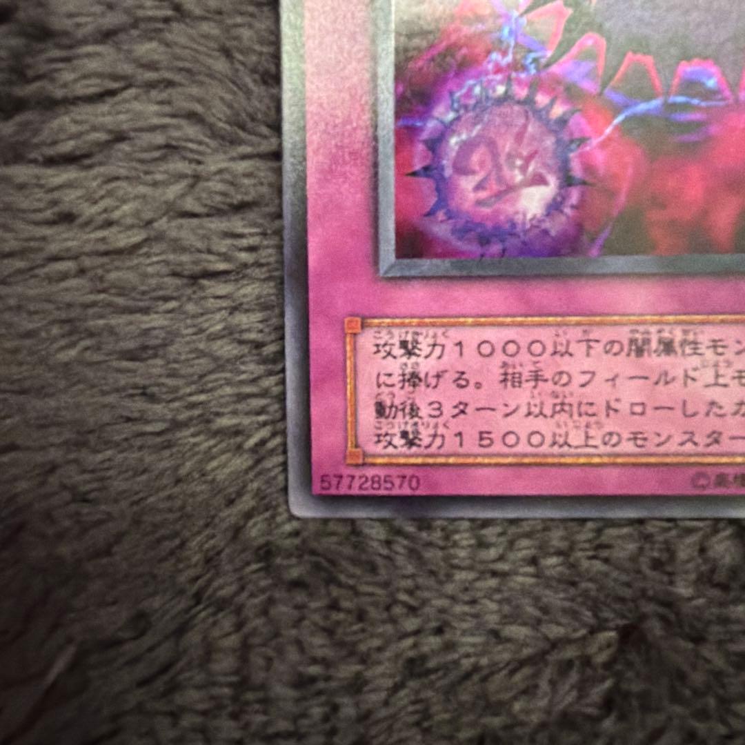 死のデッキ破壊ウイルス （遊戯王）