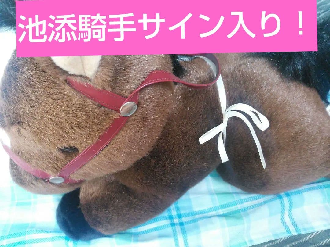 【完全レア】競馬 中山馬主協会 オルフェーヴル 池添騎手 サイン入り