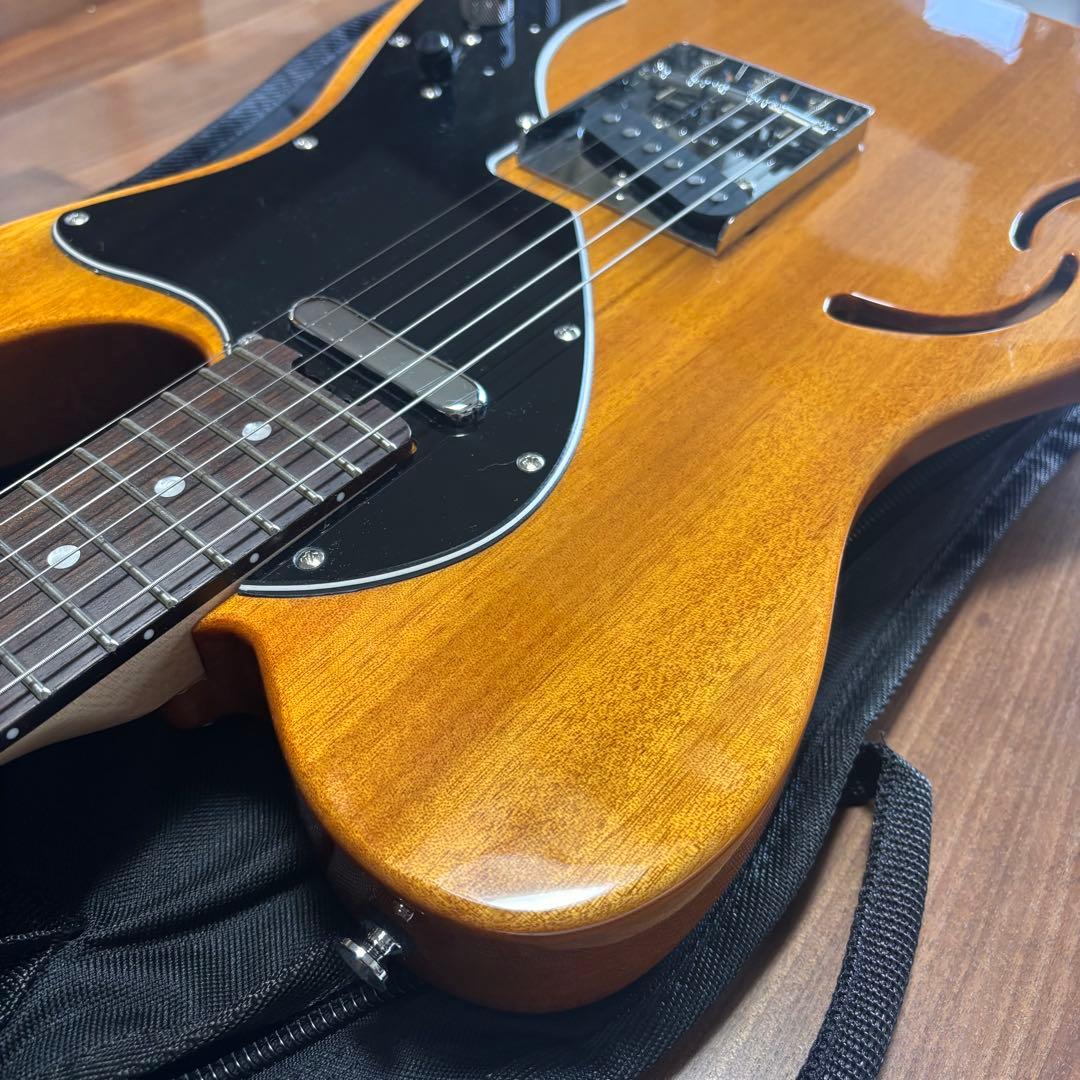 美品 SCHECTER OL-PT-TH 限定生産 シンライン 即購入可