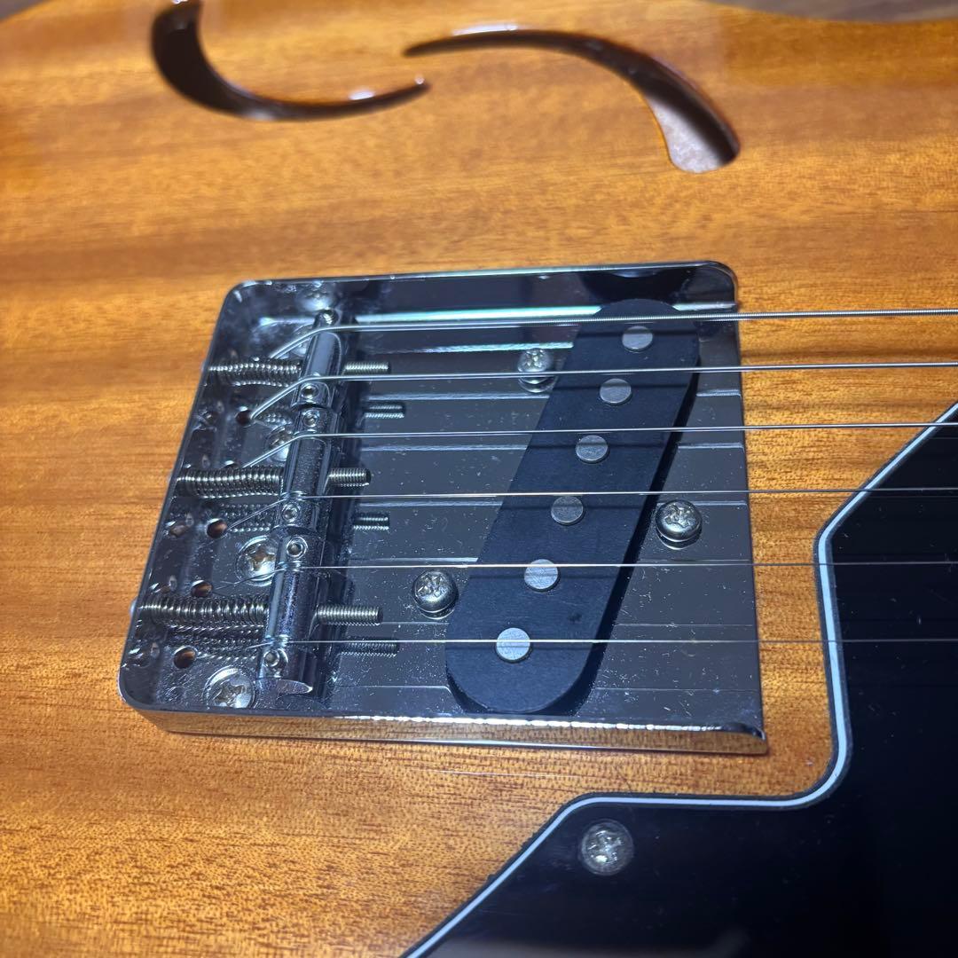 美品 SCHECTER OL-PT-TH 限定生産 シンライン 即購入可