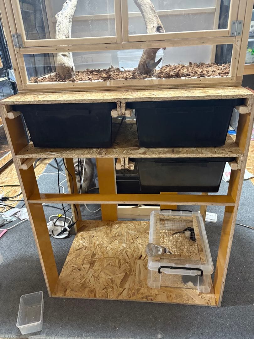 スネークラック　オーダー　受付用　爬虫類　ボールパイソン　ケージ