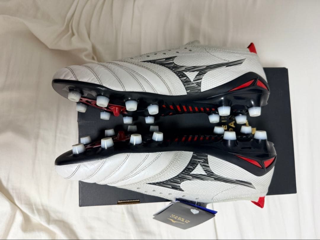 モレリアネオ4β