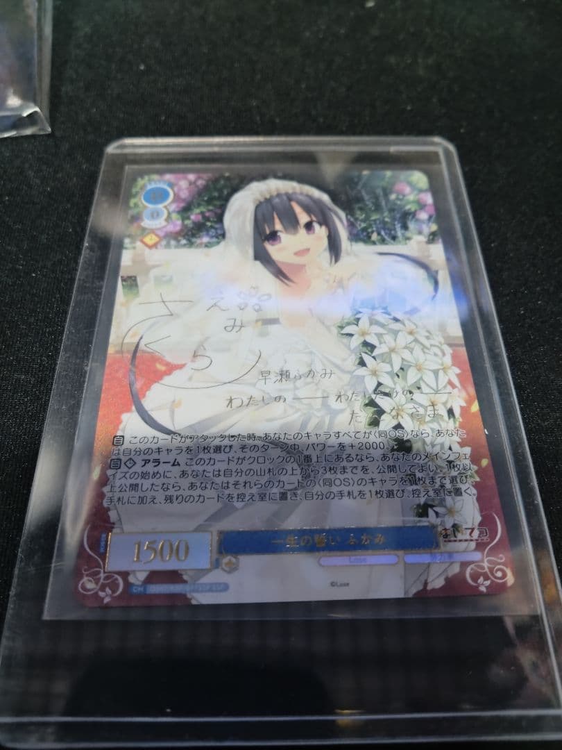 ヴァイスシュヴァルツロゼ　SSP一生の誓い ふかみ