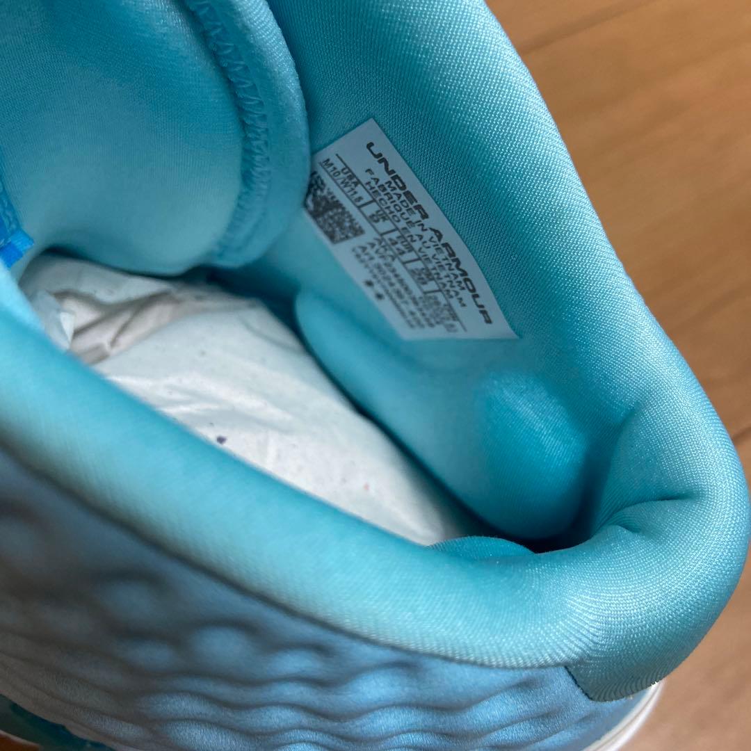 curry1 PRNT 28cm バッシュ