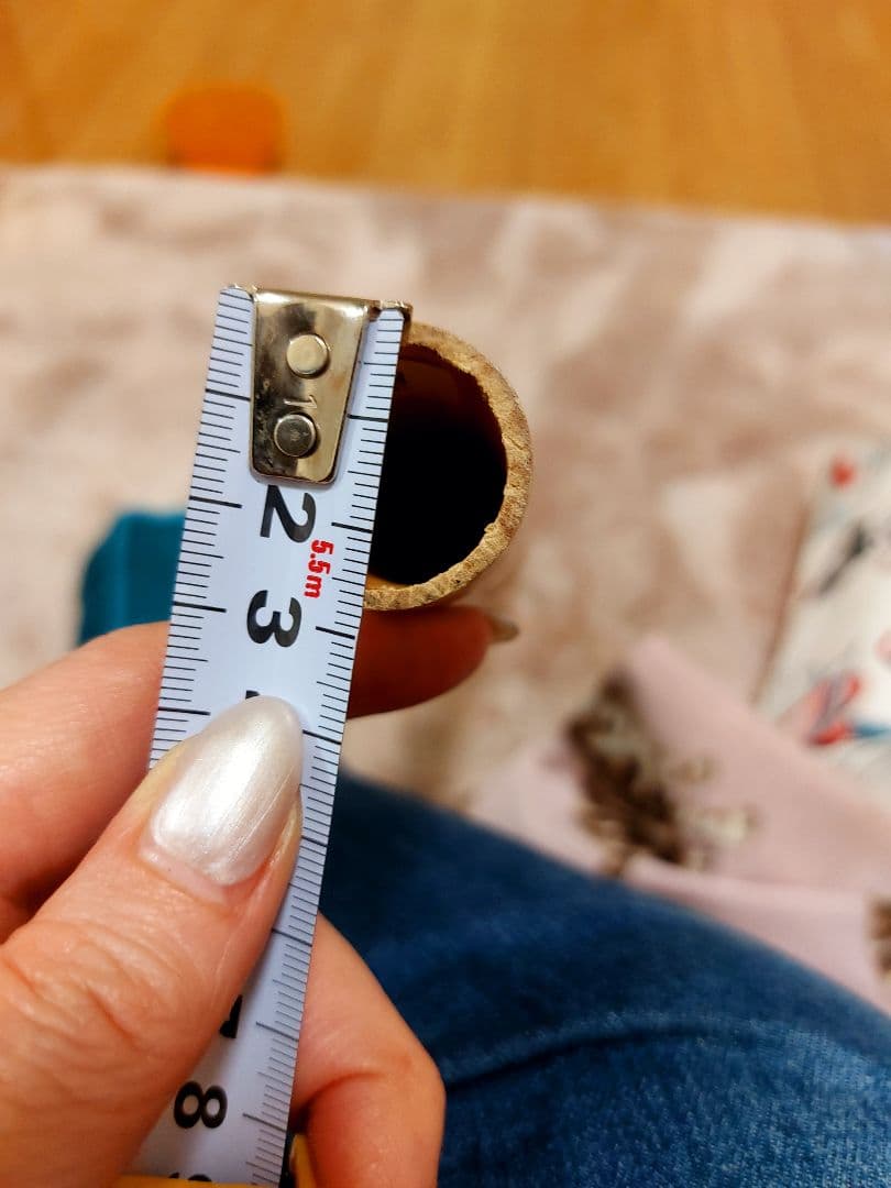 プイリ　プイリケース付き