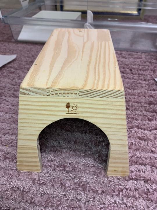 ハリネズミスターターセット