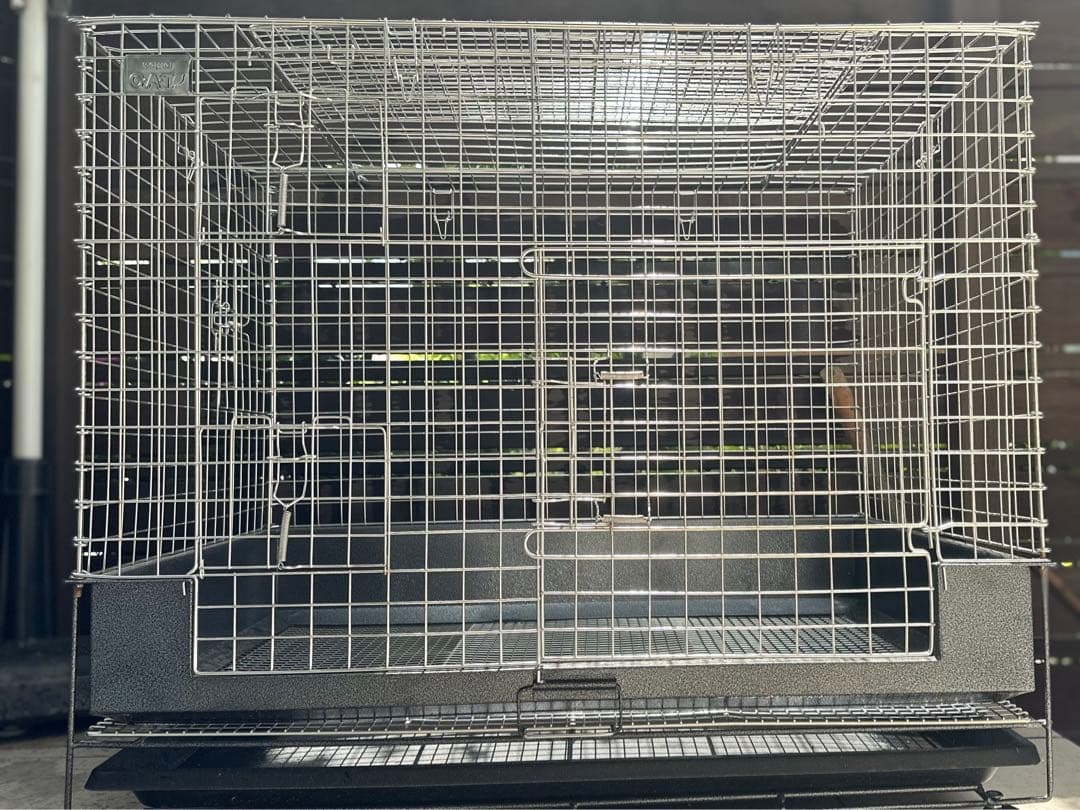 こじろう　カワイ　コンフォート８０　ＳＴ−グレード