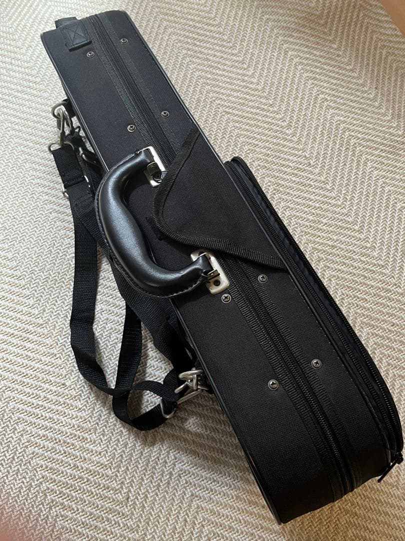 カルロジョルダーノVS1 バイオリン1/10 （ケース、肩当て、松脂付き）