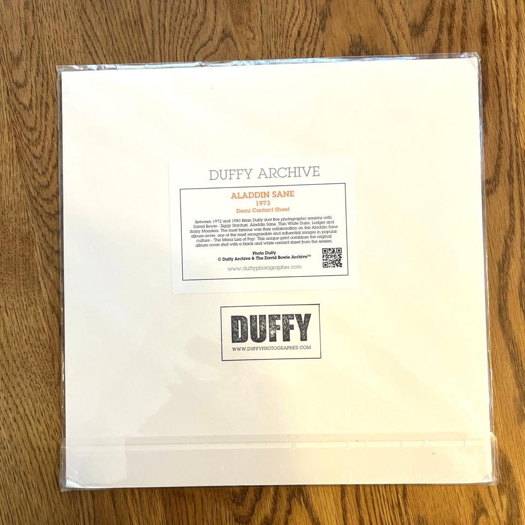 超レア　DavidBowie ✖️DUFFYフォトパネル