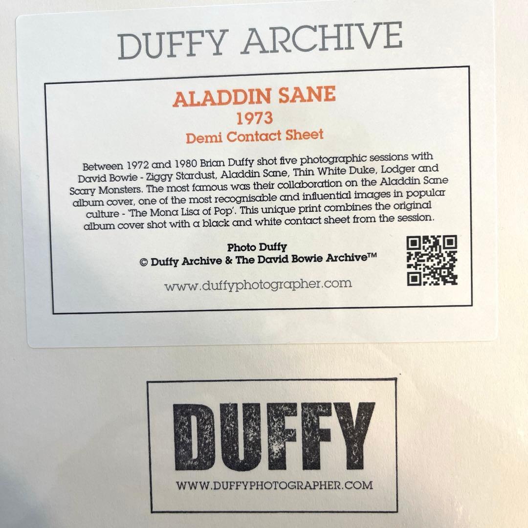 超レア　DavidBowie ✖️DUFFYフォトパネル