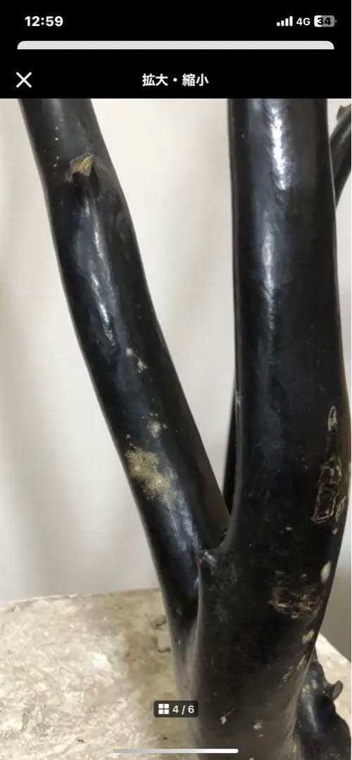 海松　深海松　ブラックコーラル