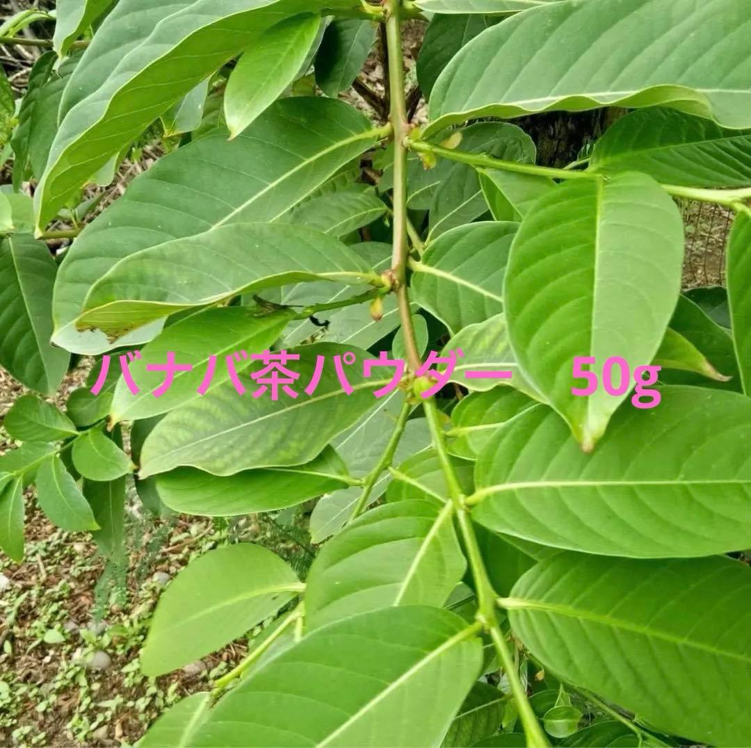 【プロフ必見】【送料無料】バナバ茶　50g　無農薬　100%NATURAL