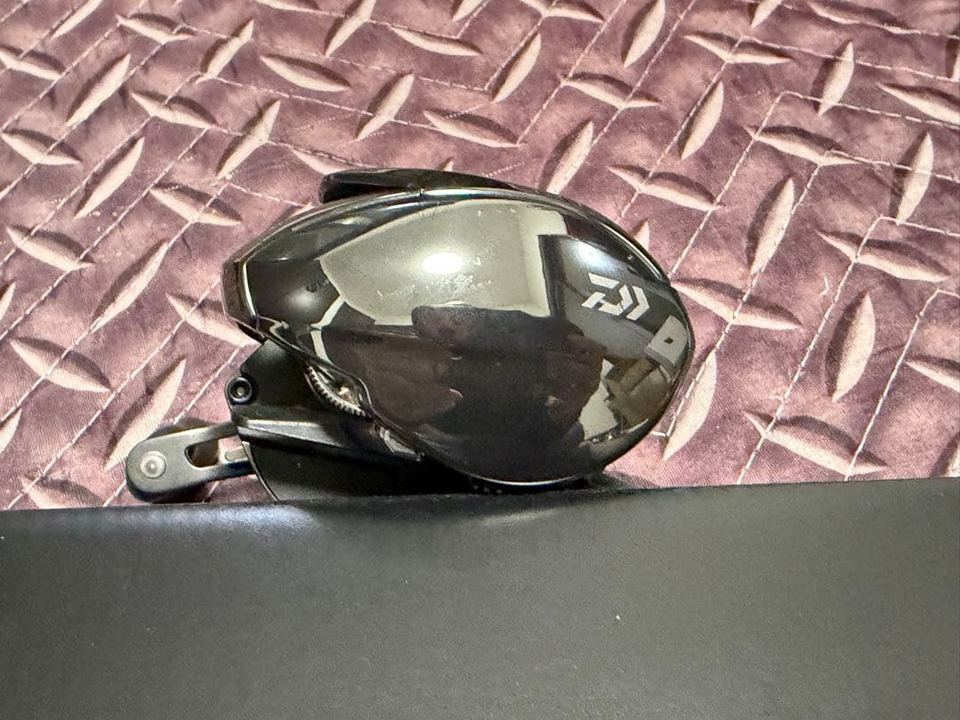 ダイワ 24スティーズ SV TW 100H STEEZ DAIWA