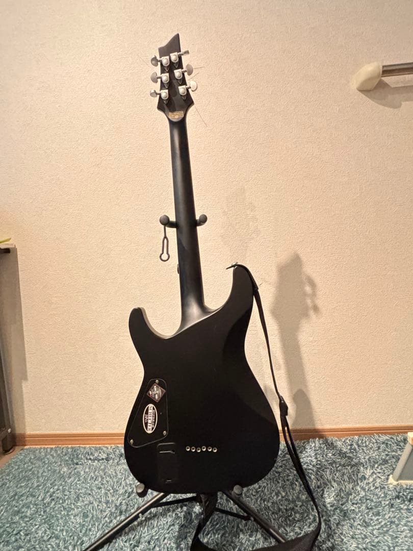 ギター SCHECTER DMIEN PLATINUM-6 SBK
