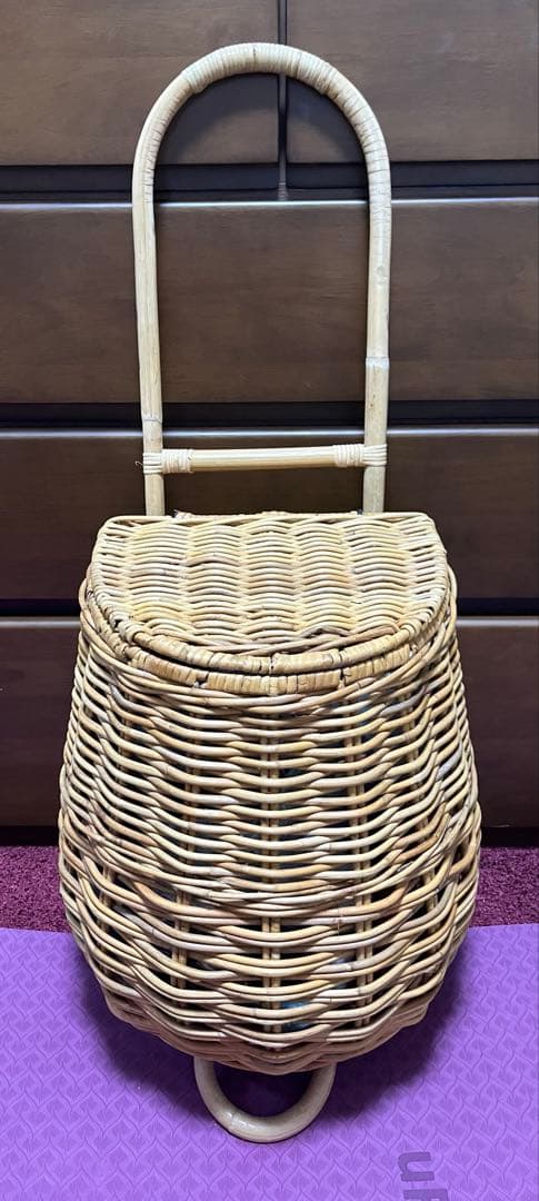 アラログ キャリーカート　ラタン　ショッピング