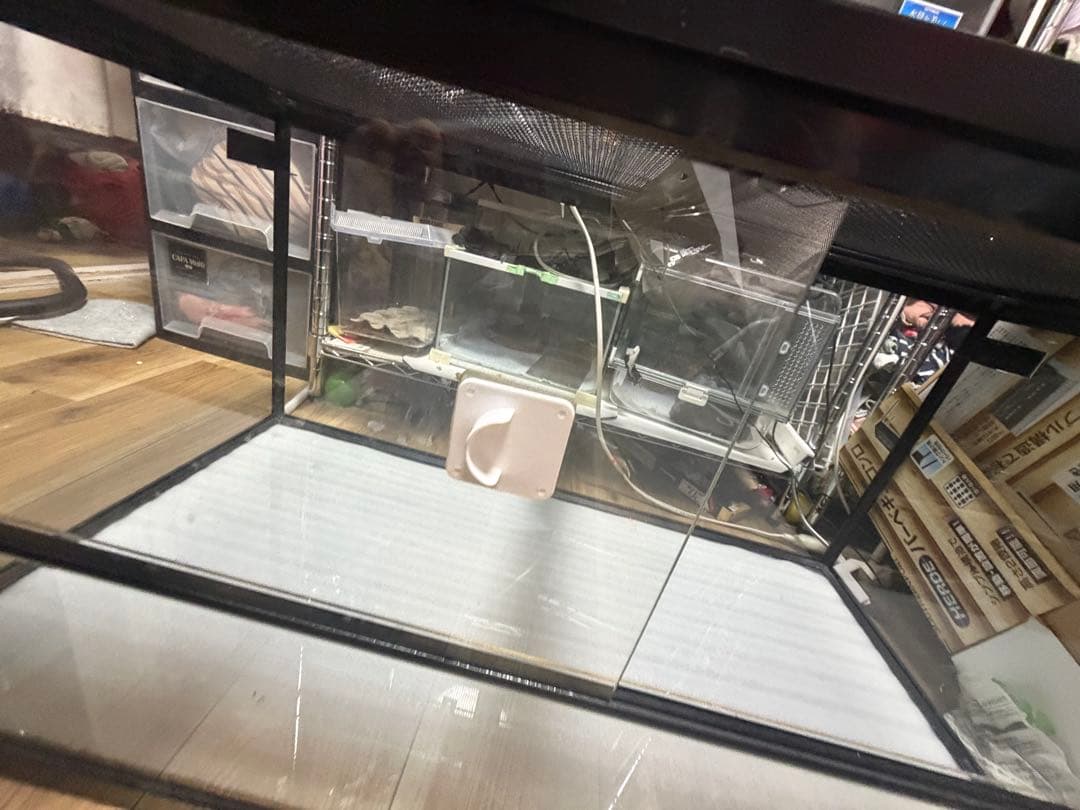 直接取引希望　《 爬虫類ケージ 9045 》　爬虫類ケージ　ソケット　タイマー