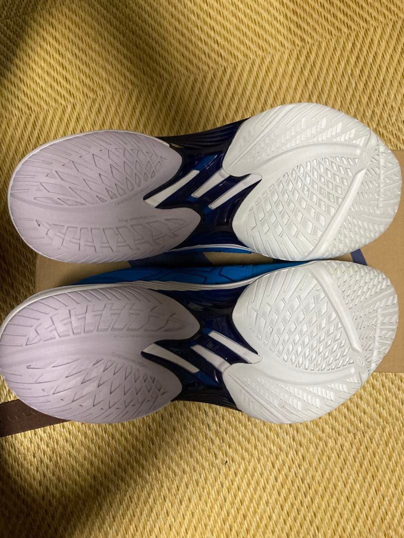 ASICS SKY ELITE FF2 スカイエリート 27.5cm